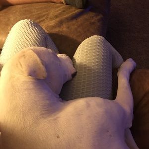 Meet your Posher, Abby